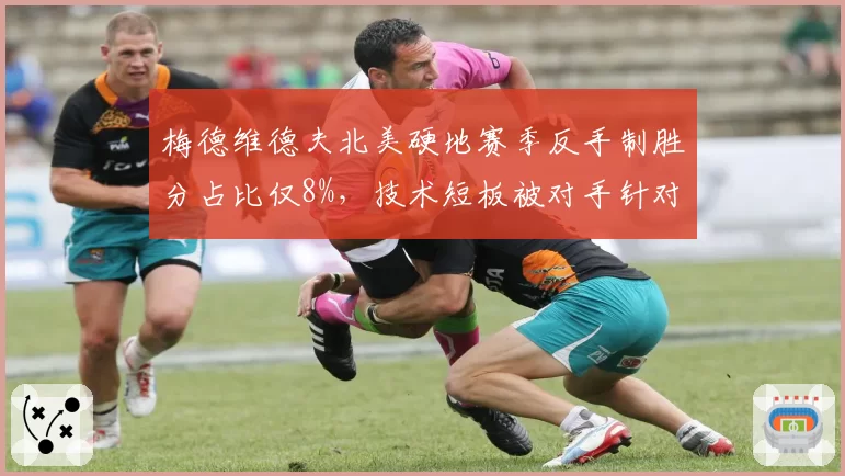 梅德维德夫北美硬地赛季反手制胜分占比仅8%，技术短板被对手针对